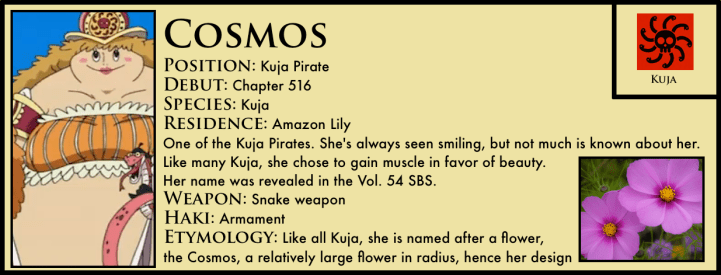 Cosmos_one_piece