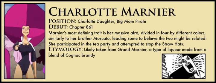 Charlotte_Marnier_One_Piece