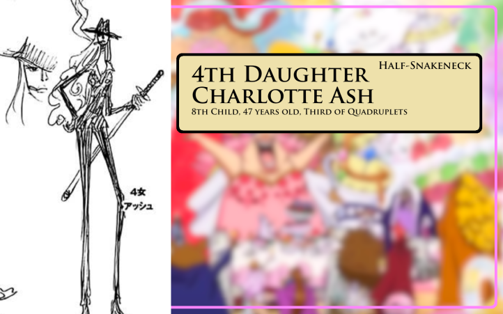 Full screen copy 135