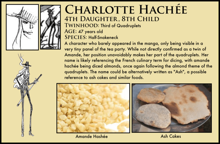 One Piece Charlotte Haché