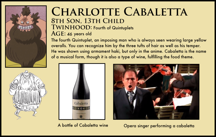 charlotte cabaletta one piece