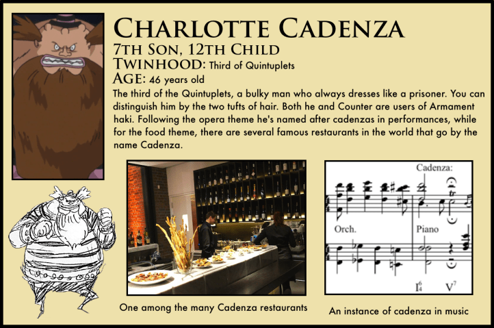 charlotte cadenza one piece