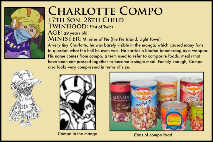 charlotte compo one piece