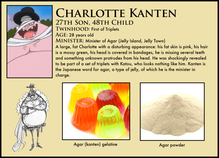 charlotte kanten one piece