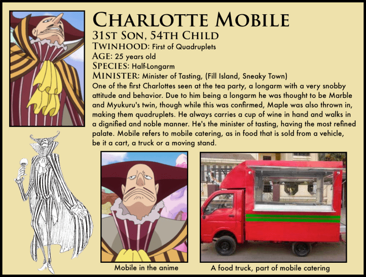 charlotte mobile one piece