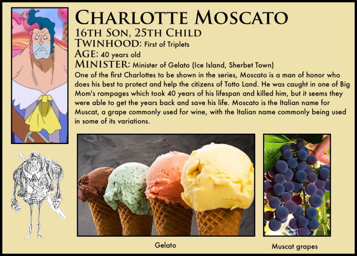 charlotte moscato one piece