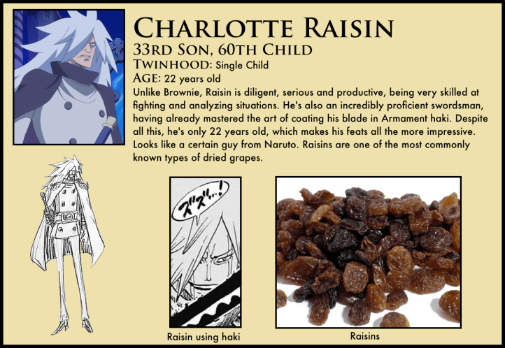 charlotte raisin one piece