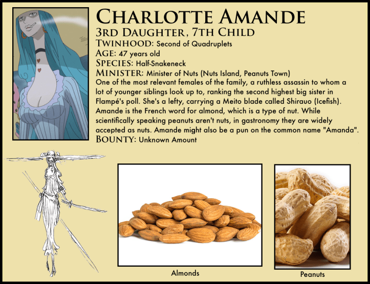 one piece charlotte amande